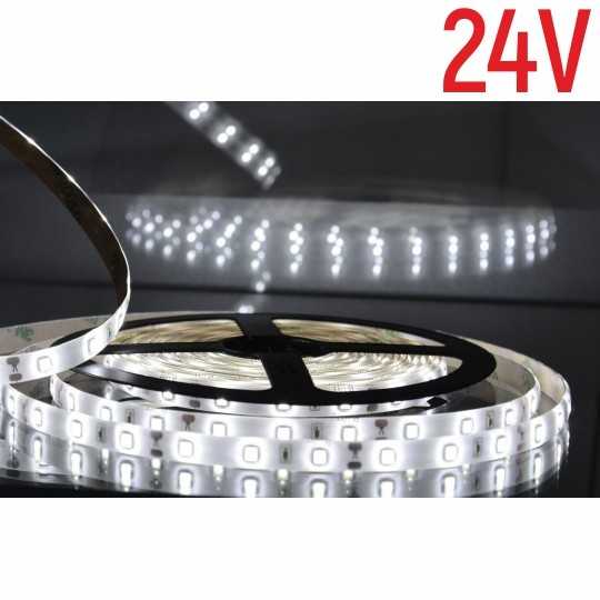 MLD-2835-60-24V 6500K dnevna svetlost LED traka 5m 24V 45W 60 LED/1m IP65 Mitea Lighting