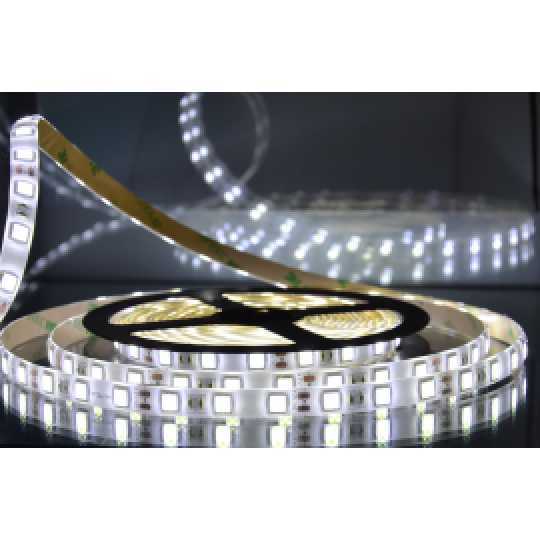 MLD-5050-60-ML 6500K dnevna svetlost LED traka 5m 12V 8W 60 LED/1m IP65 Mitea Lighting